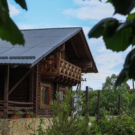 Сottage "Ksenija" Котедж "Ксенія" Skole Εξωτερικό φωτογραφία